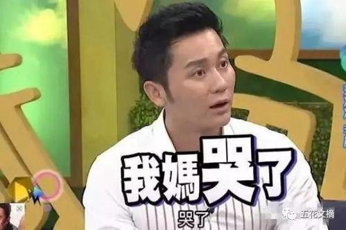 李晨早期爆料视频播放在线观看,揭秘昔日明星的真实一面