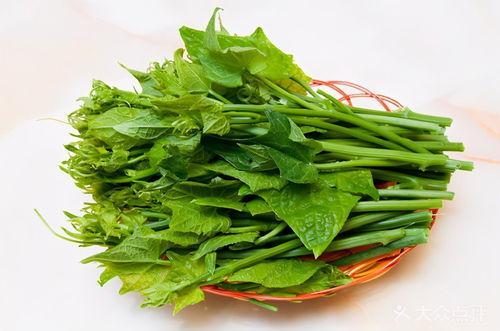 瓜尖怎么吃,解锁夏日清新口感新选择