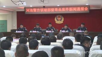 宜州新闻爆料媒体,聚焦本土热点，解码宜州发展新篇章