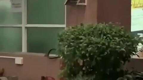 温州新闻吃瓜事件,揭秘网络舆论背后的真相