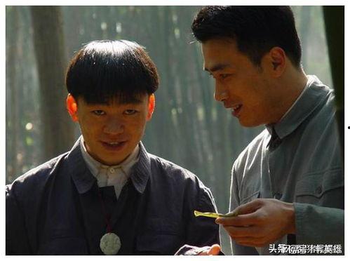 央视网电视剧红,烽火岁月里的青春传奇