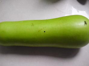 肾移植吃葫芦瓜好吗,肾移植患者适宜食用葫芦瓜的探讨