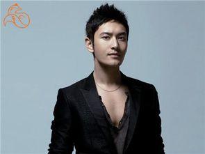 大明星帅,闪耀舞台，魅力无限