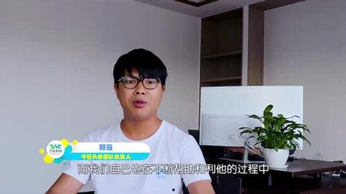 头条号运营团队管理,打造优质内容生态