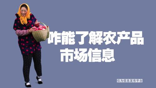 栾城三农新闻头条,聚焦乡村振兴，共话农业发展新篇章