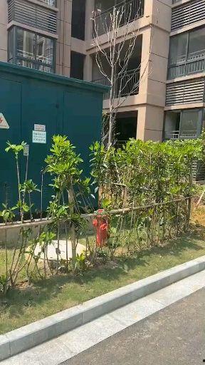 吉安头条学府壹号,品质住宅，学府环绕，宜居首选