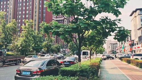 今日头条长春新区北湾,崛起中的生态宜居新地标