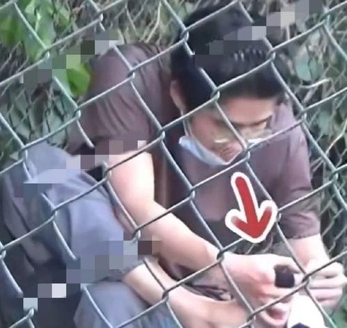 刘昊然狗仔爆料视频,揭秘娱乐圈真实一面