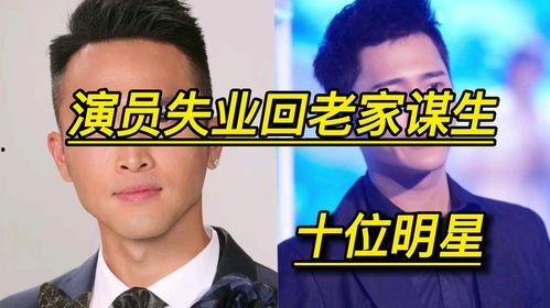 明星谋生,揭秘明星们的多元谋生之道