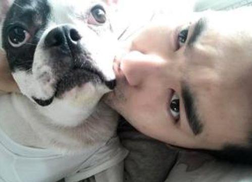 明星与狗狗视频,温馨狗狗视频集锦