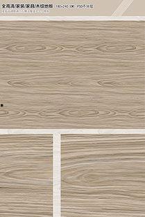 柚木网红下载,揭秘下载背后的魅力与秘密